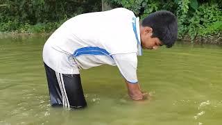 Fishing video: The young fisherman puts in great effort to catch fish for income