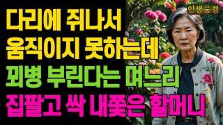 다리에 쥐나서 움직이지 못하는데 꾀병 부린다는 며느리 집팔고 싹 내쫓은 할머니 노년의 삶의 지혜 행복한 노후생활 부모자식갈등 사연 이야기 오디오북