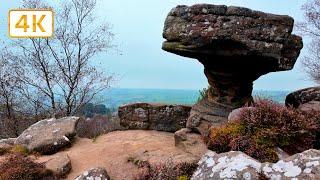 Brimham Rocks | Older Than Dinosaurs | National Trust | Virtual Walk