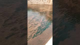 #short #new #nature