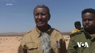 Saameynta khilaafka DF iyo Puntland ee dagaalka Daacish| VOA Somali