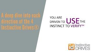 A deep dive into each direction of the 4 Instinctive Drives® – Use the Instinct to Verify