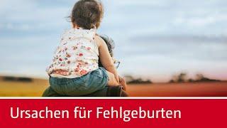 Genetische Beratung: Ursachen für Fehlgeburten erkennen – Kinderwunsch-Broschüre zum Gratis-Download