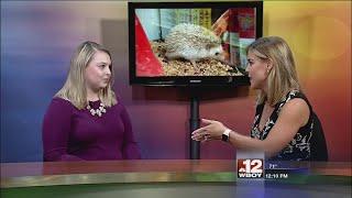 Exotic Pets Interview with Digital Reporter Shayla Klein