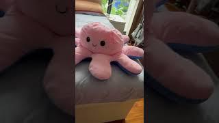 Shao Ze Toys Review 1-Octopus