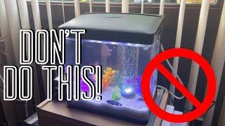 Betta Fish Rescue, Low-tech Aquarium Setup, Water Change, Fluval 207 Maintenance #aquarium #fishtank