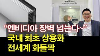 "엔비디아 장벽 넘는다~" 국내 최초 상용화~ 전세계 화들짝