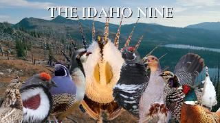 "The Idaho Nine" - An Idaho Upland Hunting Film