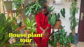 House Plant Tour. Cozy Season Edition 🪴. Rattan, plants and thrifted decor all in one cozy room