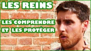 LES REINS : PROTÉGEONS-LES !