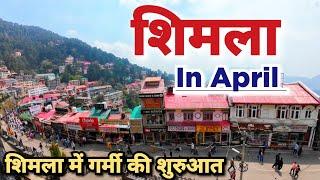 Shimla in April | Shimla in Summer | Shimla | Shimla Himachal Pradesh #shimlatouristplaces