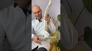 Болит таз или позвоночник?  #медицина #доктор #диагностика #рецепты #лечение_боли #спорт #боль