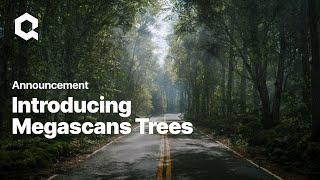 Introducing: Megascans Trees