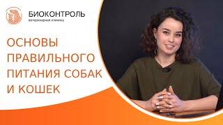  Основы правильного питания собак и кошек. Правильное питание собак и кошек. Биоконтроль. 18+