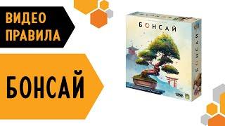  Бонсай — настольная игра  #видеоправила ️