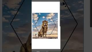 MuhMmaD Graphics 8998