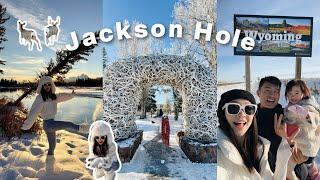 JACKSON HOLE VLOG（上）飞去下雪的地方看麋鹿🫎 小镇的冬日魅力️ 大提顿国家公园