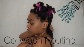 My Co Wash Routine for type 4 hair | Zig Beswick