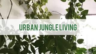 Urban Jungle Living. How to Create an Indoor Jungle. Plant Care Tip and more!