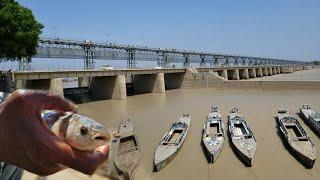 We caught fish at Darya E Sindh Indus River | Almanzar Fish Point