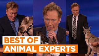 Best Of Animal Experts: Camel & Caracal | CONAN on TBS