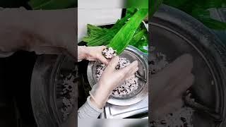 慢动作版包粽子 赶紧来学！| 美食中国 Tasty China