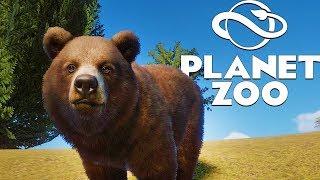 Finally A Successfuly Franchise Zoo! Grizzly Bear Babies! Planet Zoo Beta Gameplay Part 2