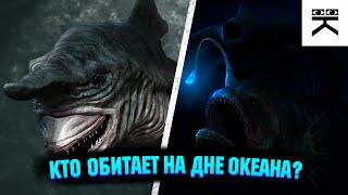 Кто обитает на дне океана?