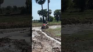 Plowing rice fields​ #kubota #automobile #farmland #lifeisbutadream #farming