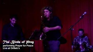 The Birds of Prey performing "Prayer for Peace", Live at Ortlieb's