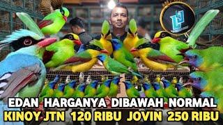 EDAN..! KINOY JANTAN 120 RIBU JOVIN 250 RIBU HARGA DIBAWAH NORMAL  DI PASAR BURUNG PRAMUKA