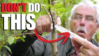 STOP WASTING your TIME planting FRUIT TREES and do THIS instead!