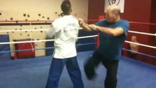 Steve Sexton Hapkido 2