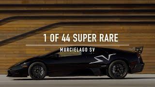 Full Throttle in a Rare Lamborghini Murcielago SV !