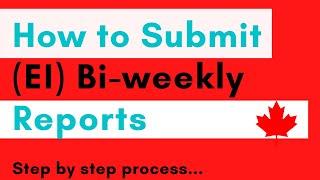 How to submit bi-weekly reports for ei step by step process