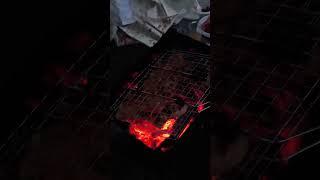 Прожарка шашлыка на решётке #шашлык #гриль #мангал #еда #grill #food #санктпетербург #2024 #туса