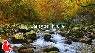 Canyon Flute - Relaxing Native American Flute Music | 24Relax