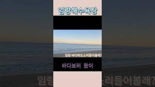 임랑해수욕장영상