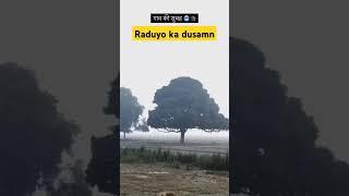 Randava ka dusman aagaya#short #funny#vikash """''!!!!!...vikash