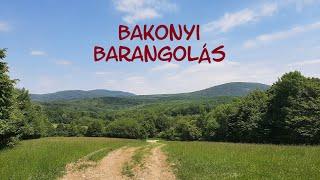 "Bakonyi barangolás"