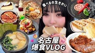 【爆食VLOG】名古屋で爆食念願の岡崎巡り&ジプリパークで幸せ満点