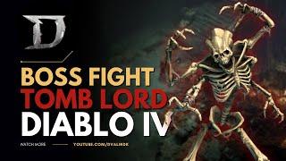 Diablo 4 Rogue Gameplay - Tomb Lord Boss Fight | New ARPG 2023