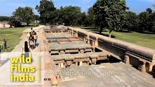 Adalaj Stepwell complex - Gandhinagar