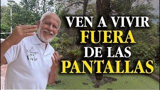 Menos pantallas, más presencia