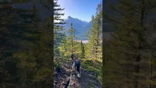 Exploring the Canadian Rockies #banff #lakelouise #canmore #nature #mountains #kananaskis #hiking