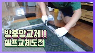 왕초보 방충망 셀프교체 방충방diy 불타는꼬꼬tv