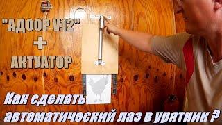 Как просто сделать автоматический лаз в курятник на актуаторе (линейном приводе).