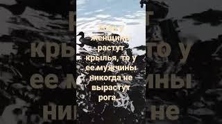 #цитаты #верность