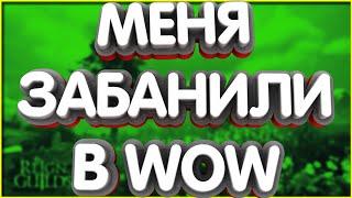 Blizzard Забанили Меня в WoW! 12 аккаунтов в бане. Заработал 330 долларов. the war within рмт отчет