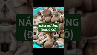 Nấm Hương cùng với các món ăn ngon từ nấm. HOTLINE 0817053922